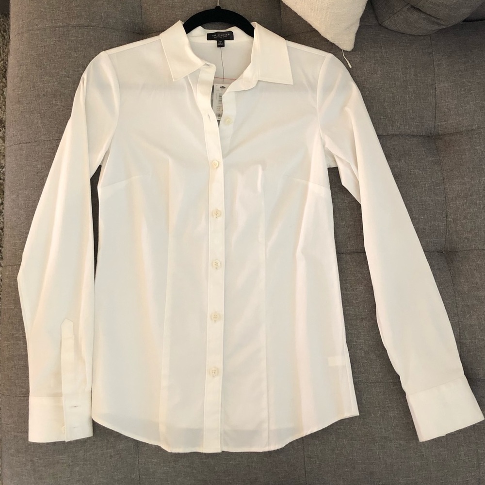 The Limited Button Down Blouse
